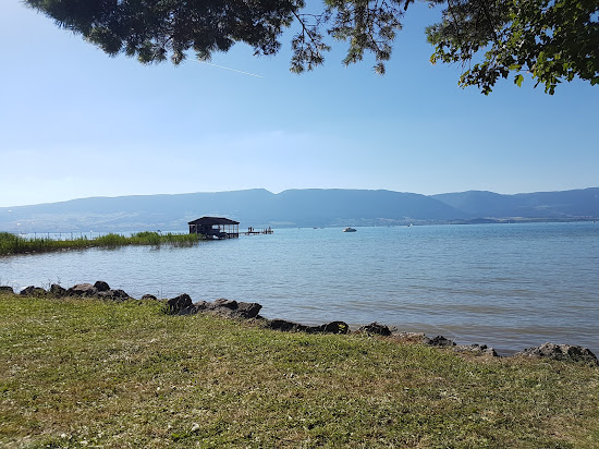 Forel plage