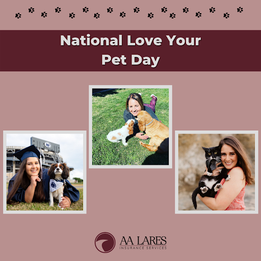 Auto Insurance Agency «AA Lares Insurance Services, Inc.», reviews and photos