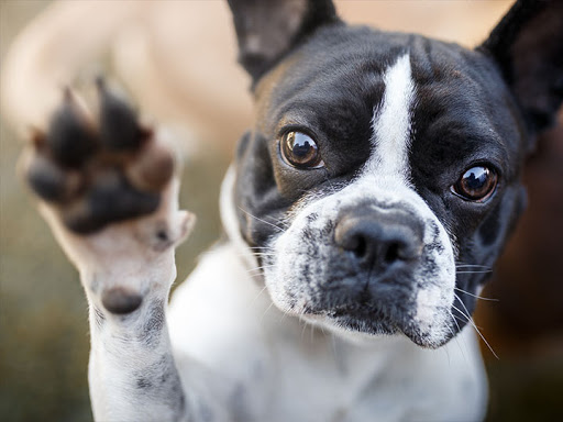 Moving Company «College Hunks Hauling Junk and Moving», reviews and photos, 6670 Corners Industrial Ct NW a, Norcross, GA 30092, USA