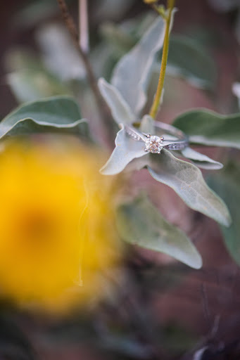 Jeweler «Brio Diamonds and Jewelry», reviews and photos, 414 S Mill Ave #202, Tempe, AZ 85281, USA