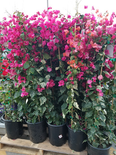 Home Improvement Store «The Home Depot», reviews and photos, 8000 Folsom Blvd, Sacramento, CA 95826, USA