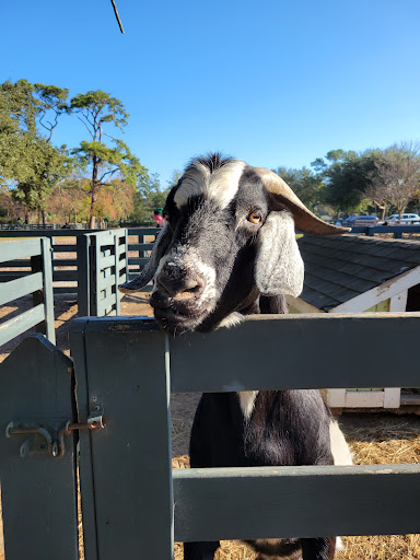 Stable «Lawton Stables», reviews and photos, 190 Greenwood Dr, Hilton Head Island, SC 29928, USA