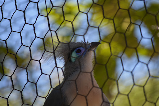 Zoo «Charles Paddock Zoo», reviews and photos, 9100 Morro Rd, Atascadero, CA 93422, USA