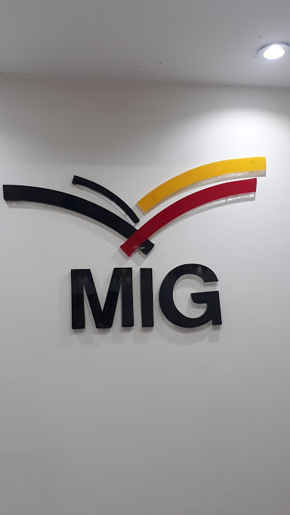 MIG Innovation Group