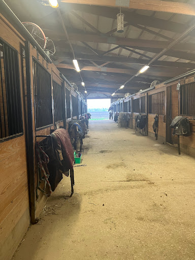 Real Estate Agency «RE/MAX 