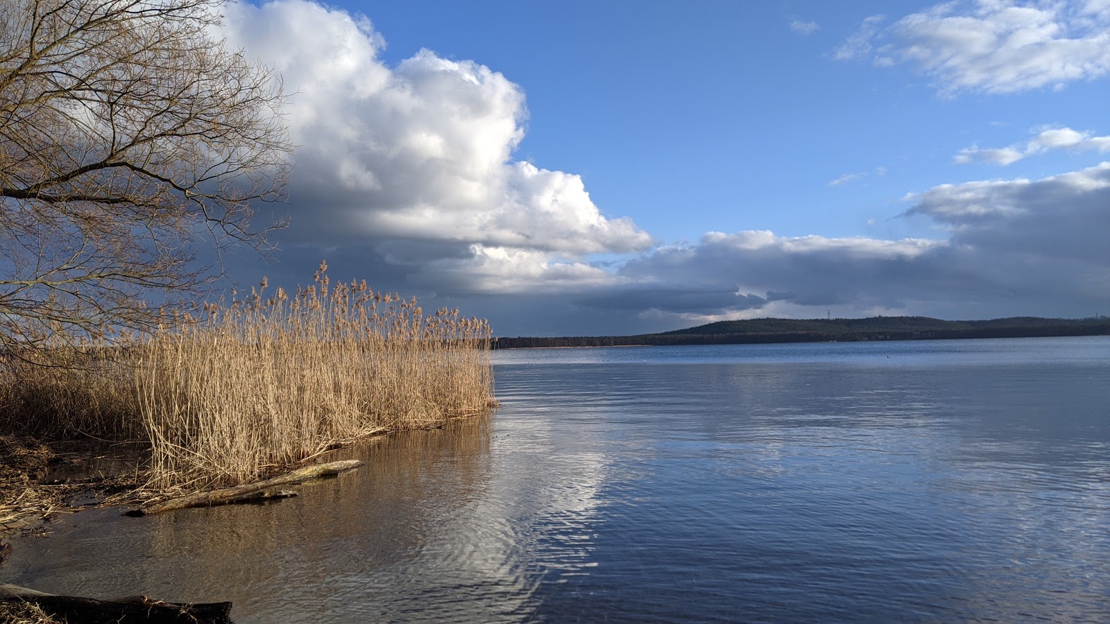 Fotografie cu Nordstrand amplasat într-o zonă naturală
