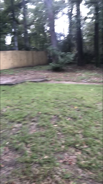 Yards and More Tallahassee Lawn Care - Photo 4 - Car repair in Tallahassee, FL, Tallahassee