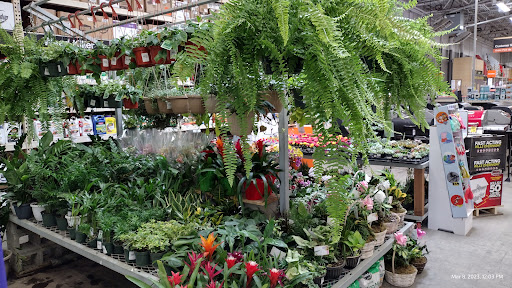 The Home Depot image
