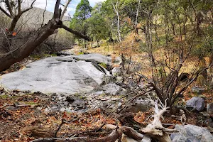 Ramsey Canyon Preserve-Nature Conservancy image