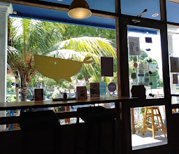 Whale And Co photo