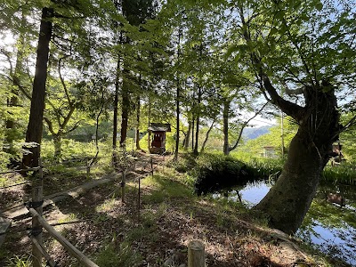 クロサンショウウオの産卵池
