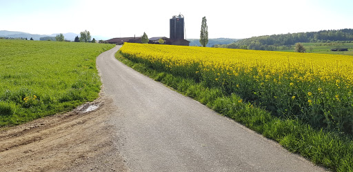 site_photo1