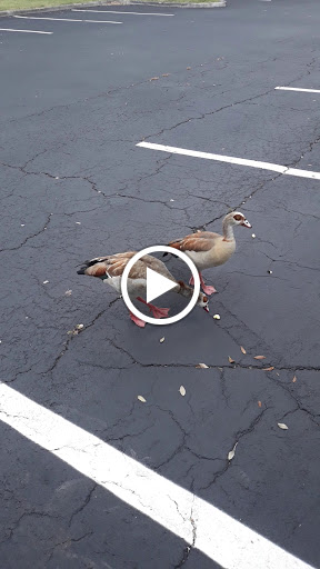 Nature Preserve «Woodmont Natural Area», reviews and photos, 7250 NW 80th Pl, Pompano Beach, FL 33321, USA