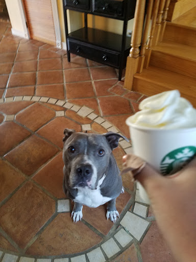Starbucks image