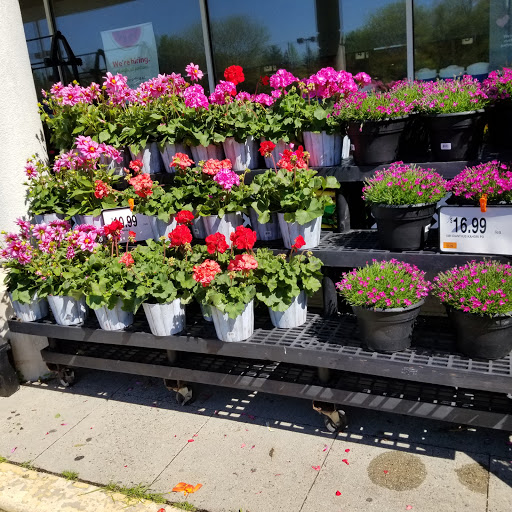 Supermarket «Super Stop & Shop», reviews and photos, 8101 Jericho Turnpike #0511, Woodbury, NY 11797, USA