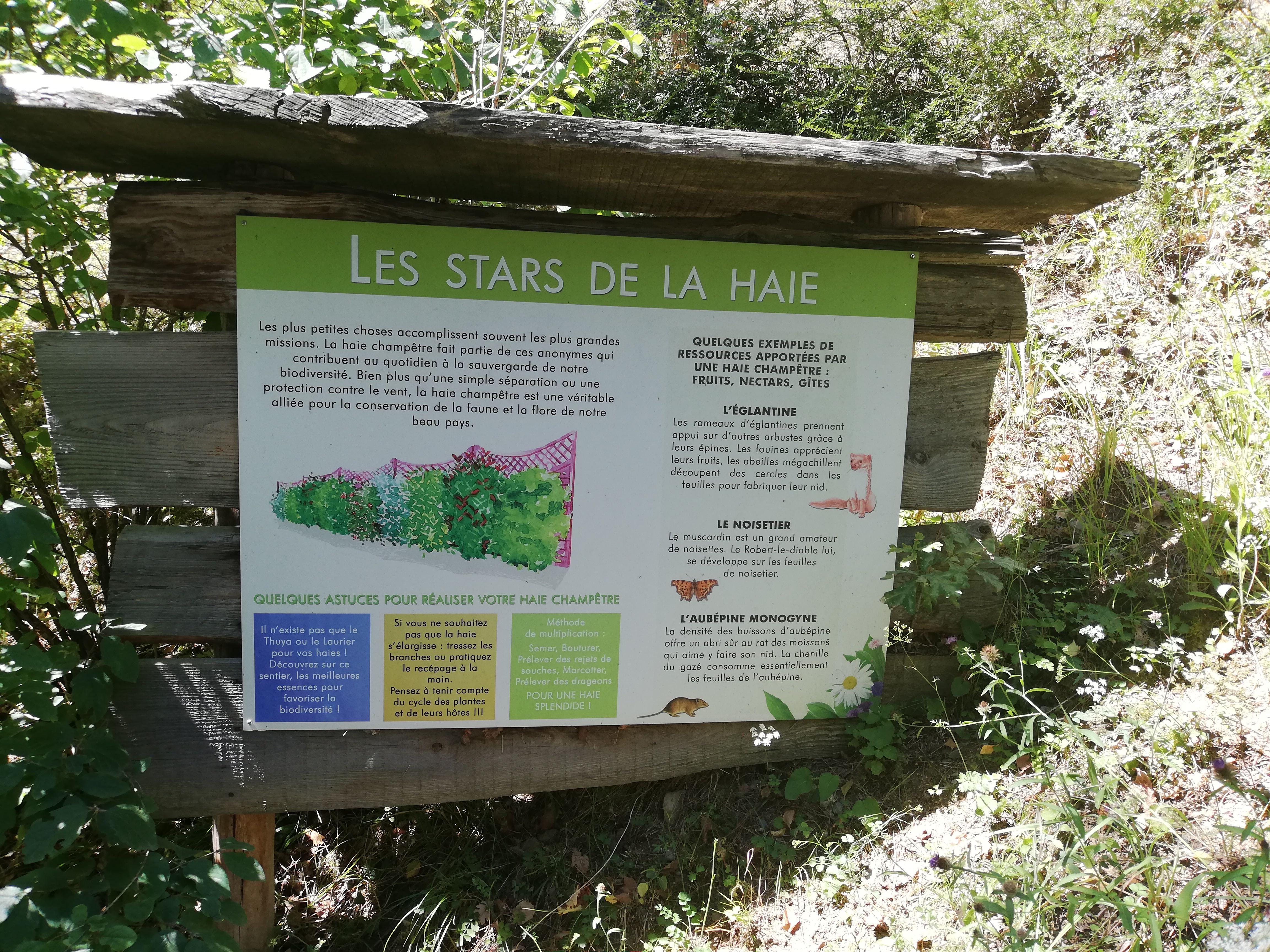 Photo n° 35 de l'avis de Soleil. fait le 20/08/2020 à 12:36