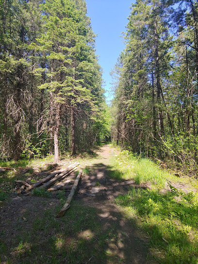 Pine Grove Trail