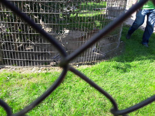 Wildlife Refuge «Big Run Wolf Ranch», reviews and photos, 14857 N Farrell Rd, Lockport, IL 60441, USA