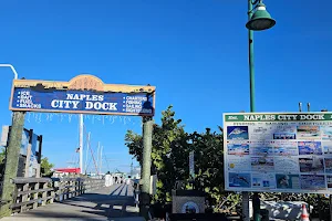 Naples City Dock image