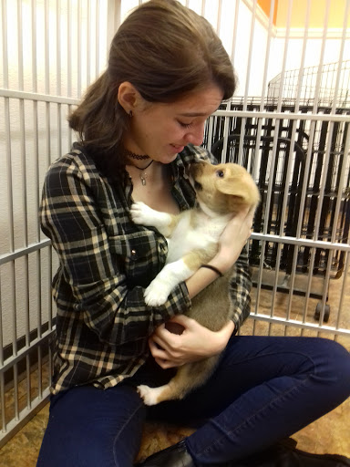 Pet Supply Store «Just Pets», reviews and photos, 8874 Maximus Dr, Lone Tree, CO 80124, USA