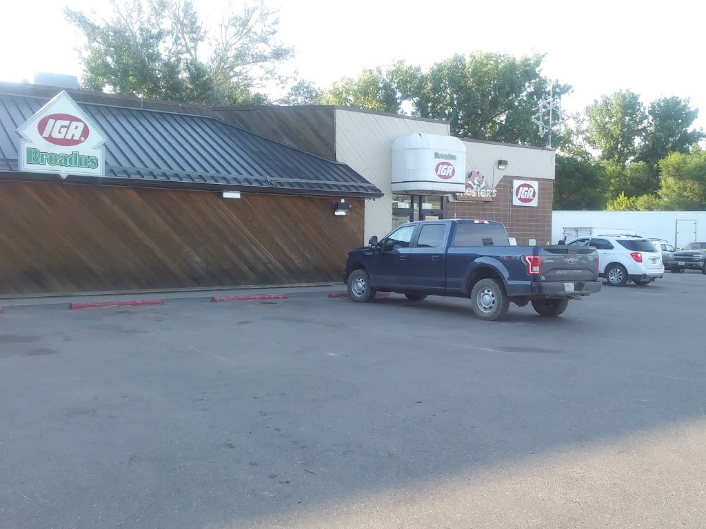 Chester's Chicken 59317