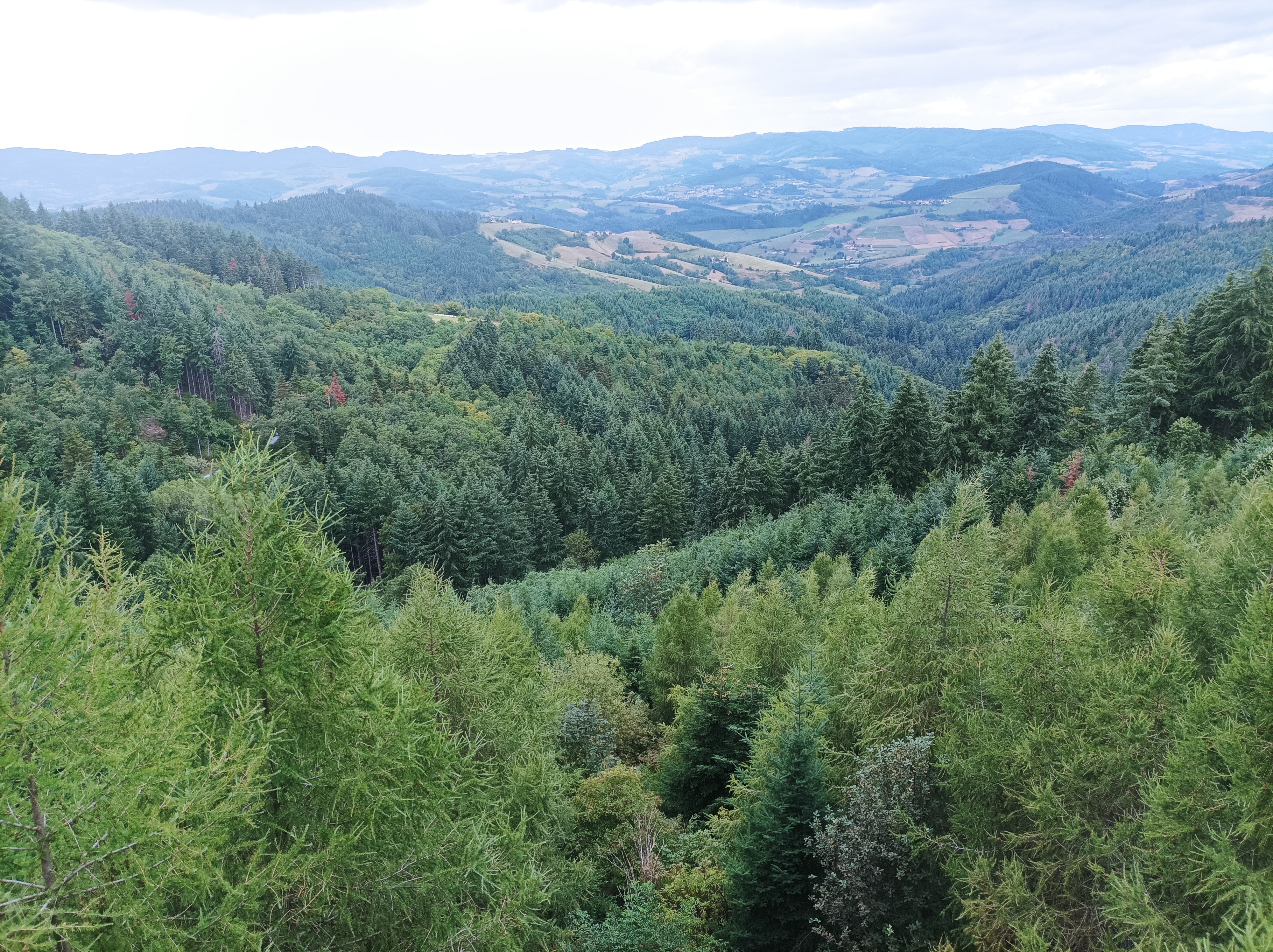 Photo n° 1 de l'avis de Stéphane.o fait le 27/08/2023 à 21:03