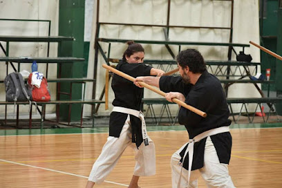 Tai ki Dojo: Matayoshi Kobudo Argentina / Karate Do IOGKF