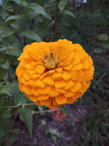 Park «NARA Park», reviews and photos, 25 Ledge Rock Way, Acton, MA 01720, USA