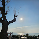 Photo n°1 de l'avis de Patrizia.i fait le 07/02/2024 à 22:55 sur le  Ristorante Magie Dei Sapori a Gaeta à Gaeta