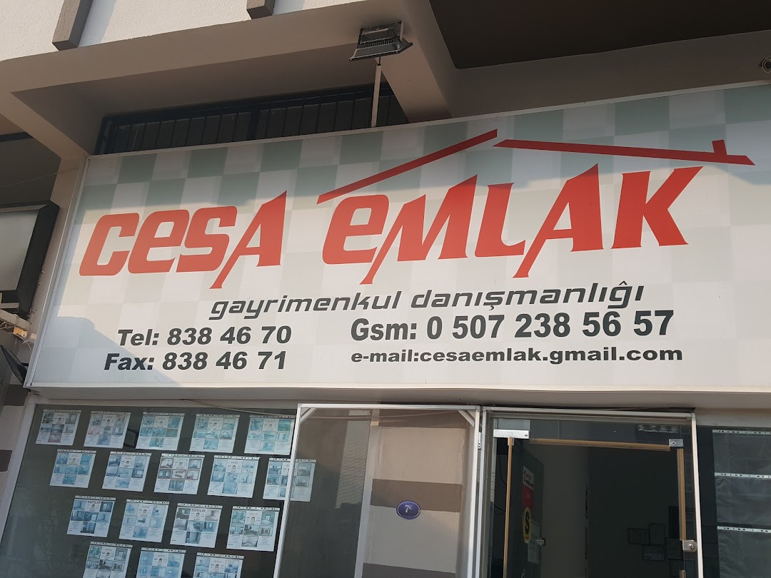 Cesa Emlak Gayrimenkul Danmanl