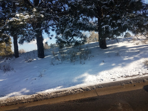 Public Golf Course «Willis Case Golf Course», reviews and photos, 4999 Vrain St, Denver, CO 80212, USA