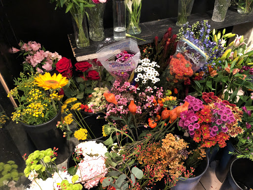 Florist «Anna Held Floral Studio», reviews and photos, 5557 N Sheridan Rd, Chicago, IL 60640, USA