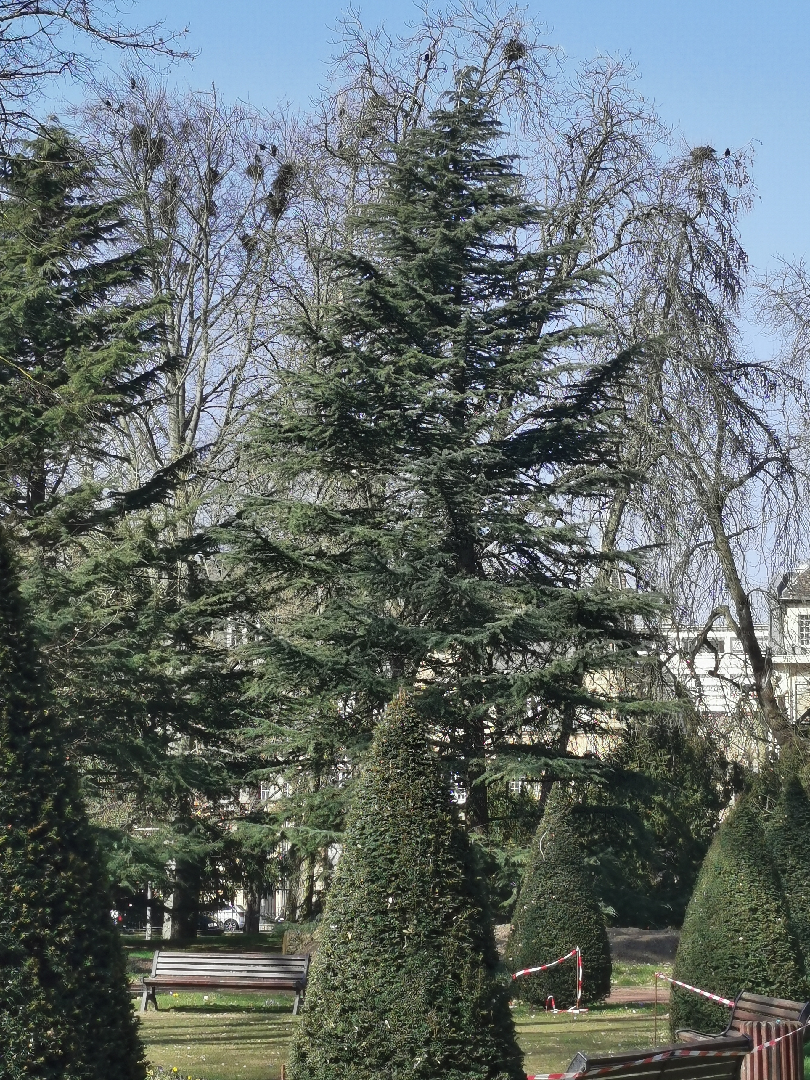 Photo n° 18 de l'avis de Phidis.a fait le 27/04/2021 à 11:28