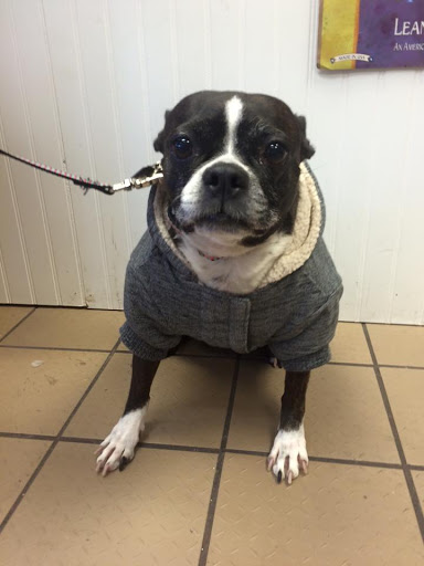 Pet Store «Pets of Portage», reviews and photos, 2219 W Wisconsin St, Portage, WI 53901, USA