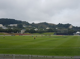 Cricket Wellington