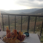 Photo n°1 de l'avis de fralas. fait le 27/01/2019 à 14:58 sur le  del Borgo Restaurant à Castel di Sasso