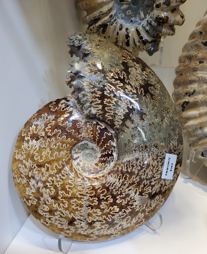 Jeweler «Breckenridge Jewelers», reviews and photos, 215 S Main St, Breckenridge, CO 80424, USA