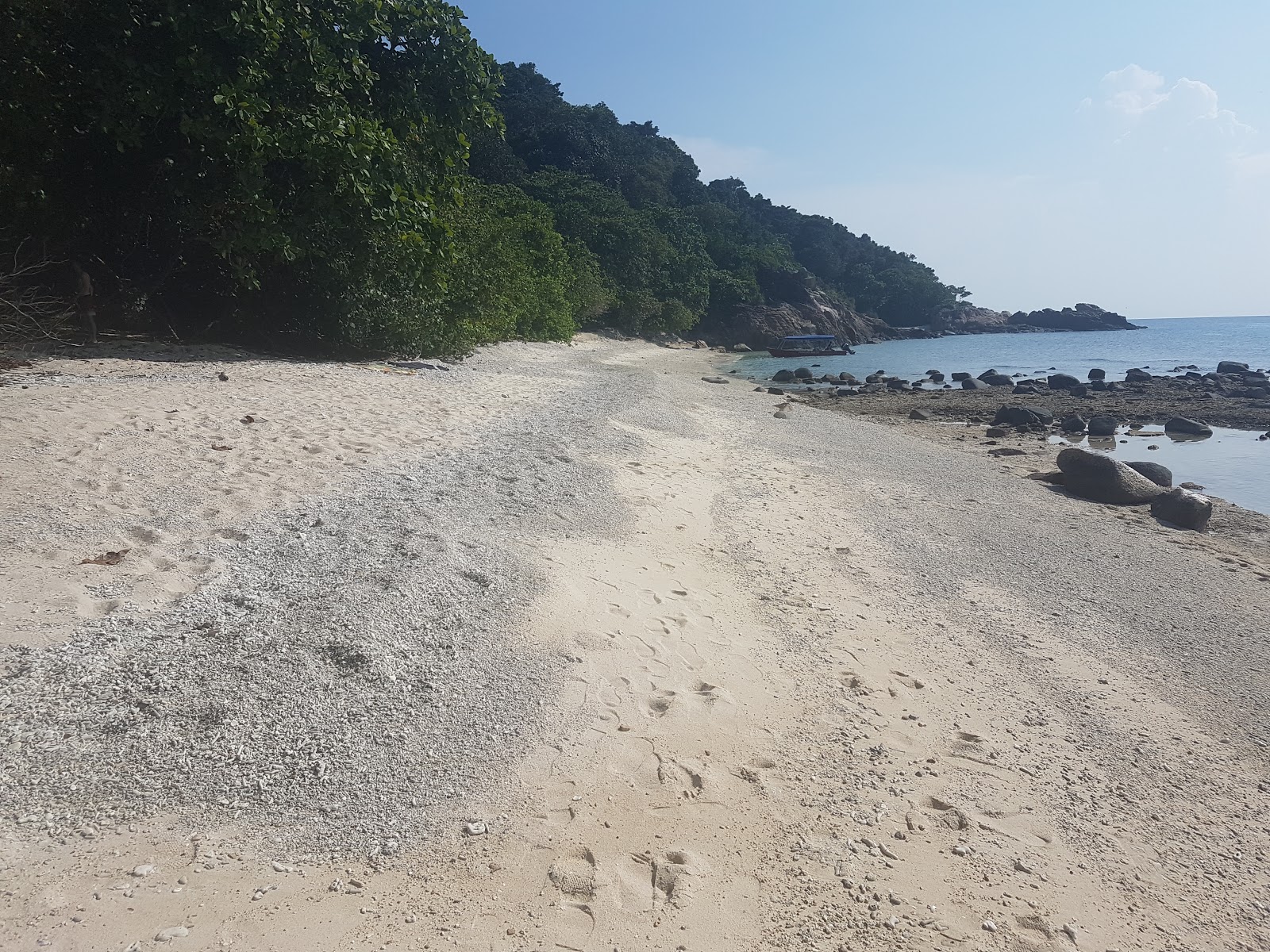 Zdjęcie Plaża Żółwia - popularne miejsce wśród znawców relaksu