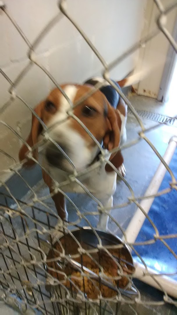 Grant County Animal Shelter