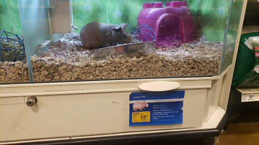 Pet Supply Store «PetSmart», reviews and photos, 15555 E 14th St, San Leandro, CA 94578, USA