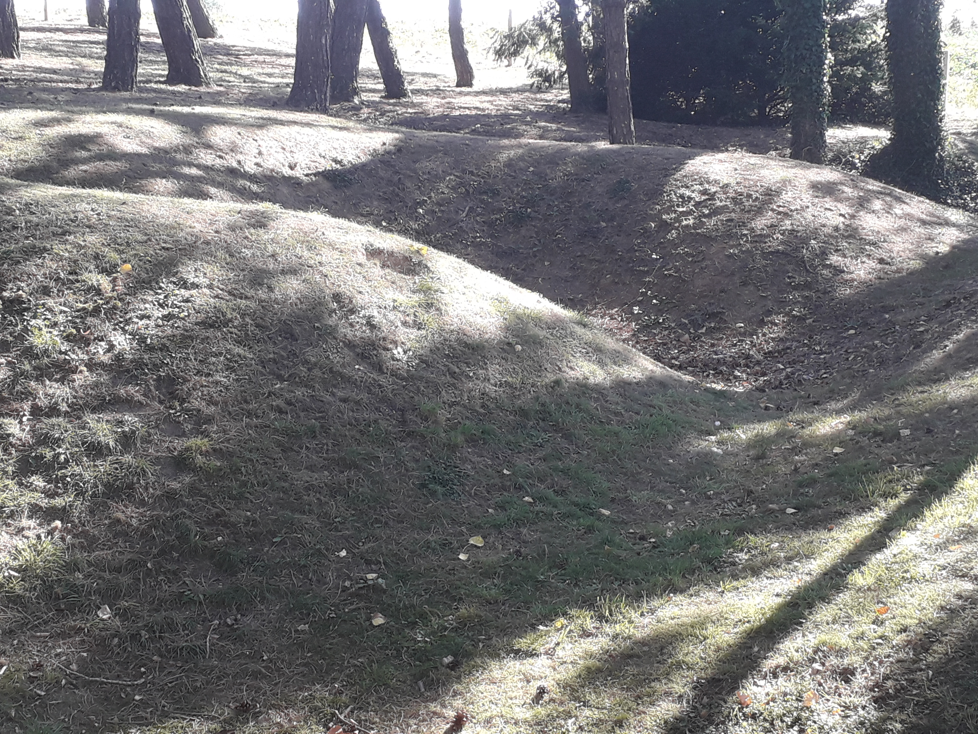 Photo n° 4 de l'avis de Derek.i fait le 19/09/2019 à 18:49
