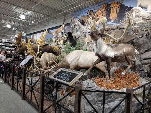 Outdoor Sports Store «Field & Stream», reviews and photos, 870 Walt Whitman Rd Ste B, Melville, NY 11747, USA