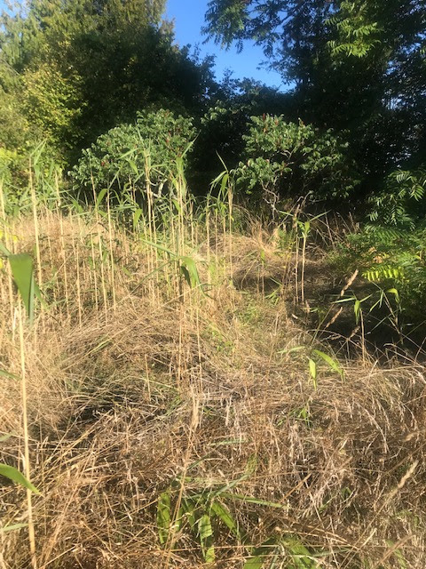 Photo n° 2 de l'avis de atnos58. fait le 13/09/2023 à 14:41
