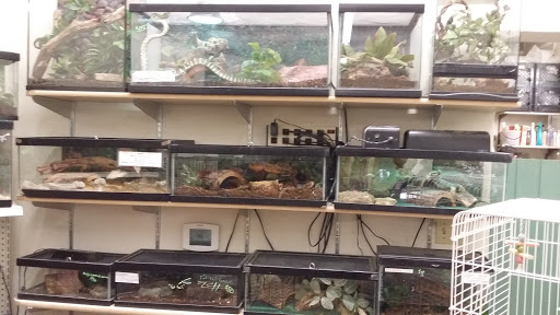 Pet Supply Store «Village Pet Shop», reviews and photos, 3008 Pacific Ave, Livermore, CA 94550, USA