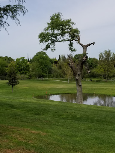 Golf Course «Diamond Oaks Golf Course», reviews and photos, 349 Diamond Oaks Rd, Roseville, CA 95678, USA
