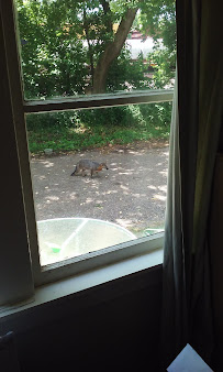 J J Repair Services - Photo 4 - Car repair in Kalamazoo, MI, Kalamazoo