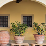 Photo n°12 de l'avis de donatella.u fait le 09/02/2023 à 15:20 sur le  Villa Monsoglio à Laterina Pergine Valdarno