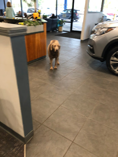 Subaru Dealer «Planet Subaru», reviews and photos, 596 Washington St, Hanover, MA 02339, USA