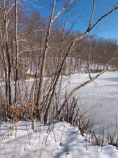 Park «Perrineville Lake Park», reviews and photos, 143 Baird Rd, Millstone, NJ 07726, USA