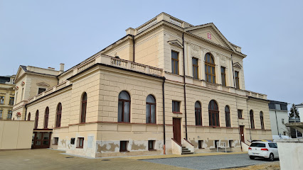 Svaz postižených civilizačními chorobami v ČR, o.s. základní organizace Mladá Boleslav